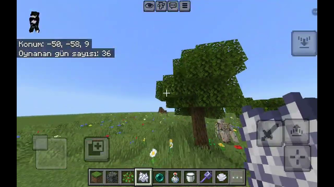 İm open smp server!!!