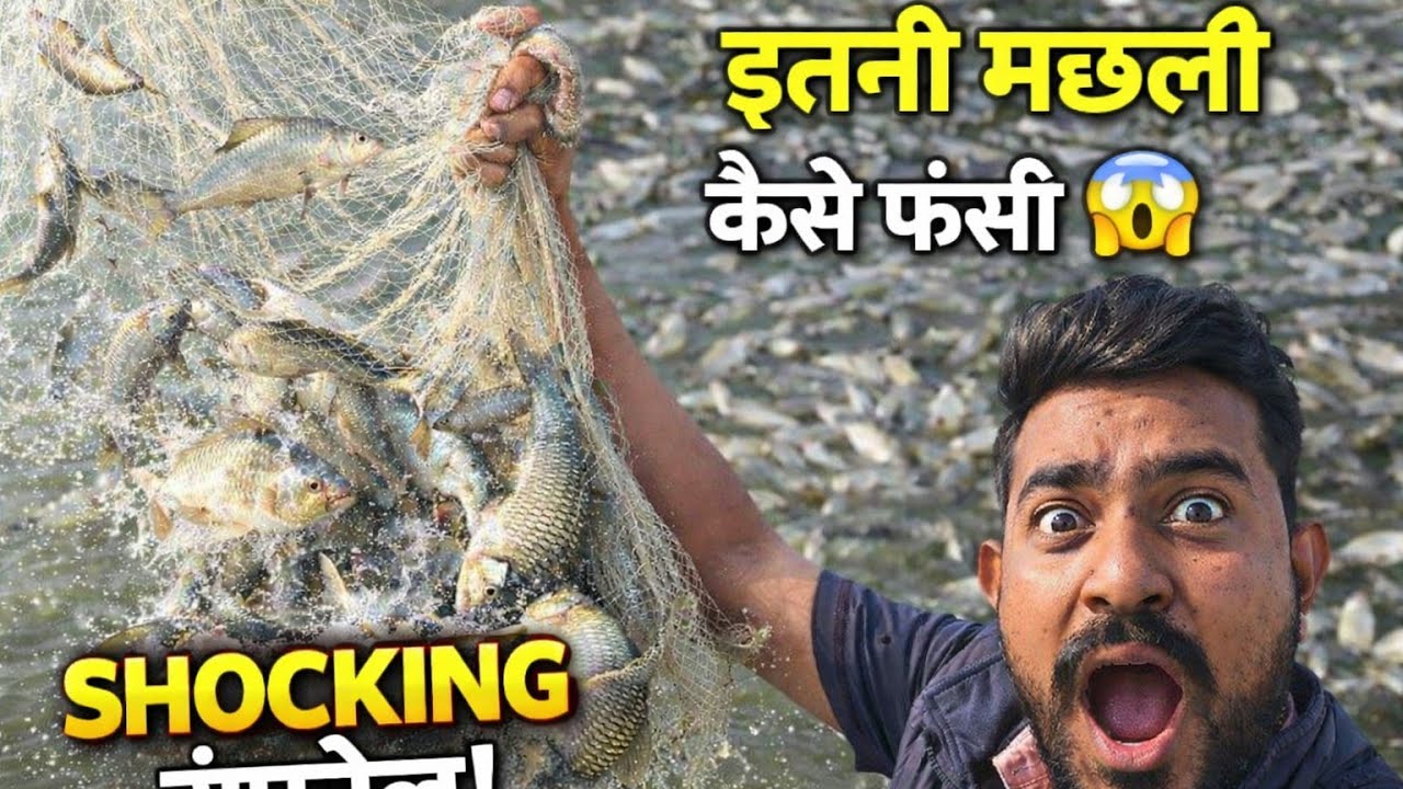 फिसिंग नेट से बहुत सारी मछलियां पकड़ी