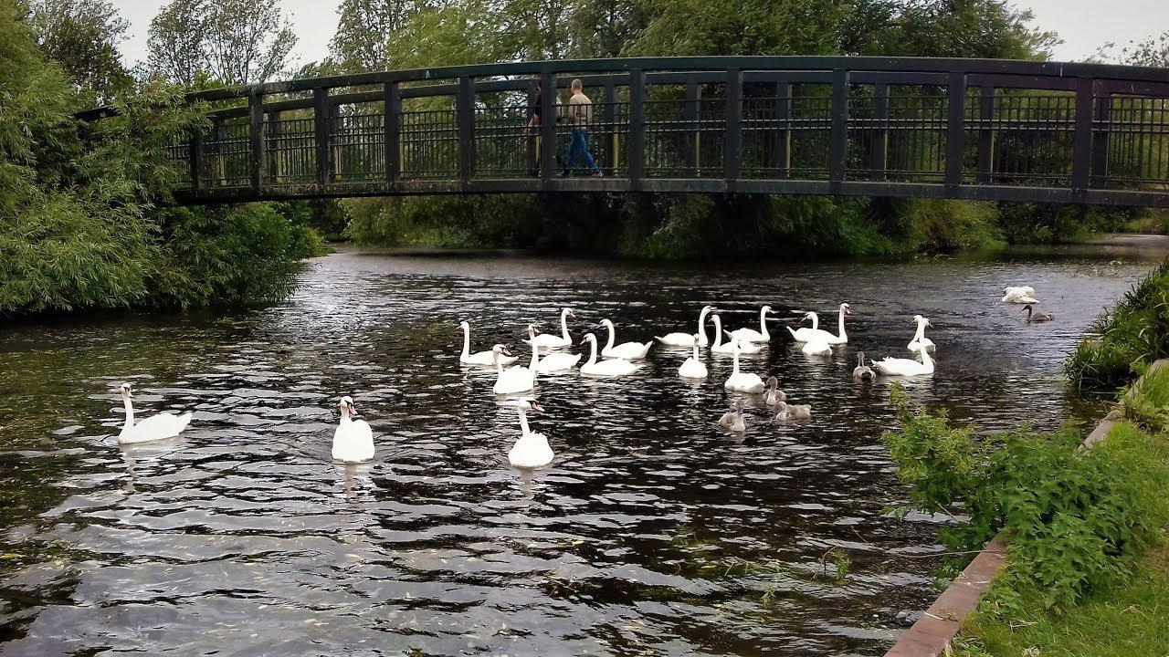 WALKING IN SUFFOLK | RIVER LARK | MILDENHALL | BARTON MILLS