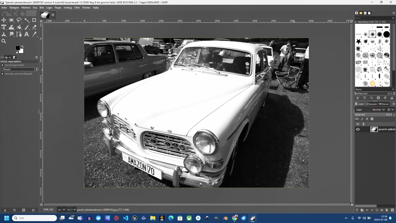 Fotokonst  - Lektion 1 -  GIMP + AI