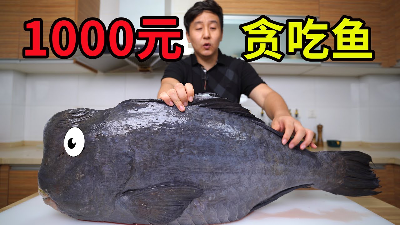 试吃1000多元的鹦嘴鱼，著名的珊瑚杀手，味道难吃吗？