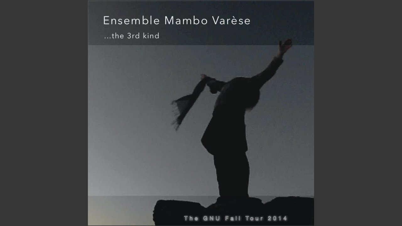 Ensemble Mambo Varese at Schwere Reiter 2nd Day/1st Set (Live)