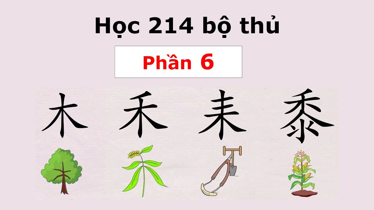 HỌC 214 BỘ THỦ CHỮ HÁN QUA HÌNH ẢNH - PHẦN 6 | TIẾNG TRUNG 5S