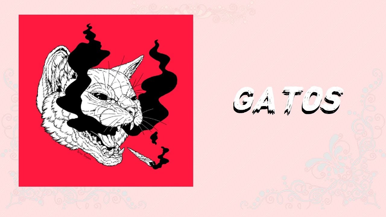 Hiro Yami - Gatos