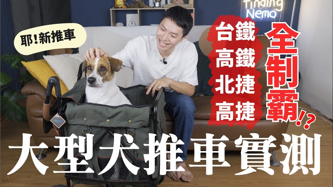 大型犬寵物推車開箱實測🛒高鐵台鐵捷運通通沒問題👌 (feat.ibiyaya大米號寵物推車)【尼來開箱📦 EP2】