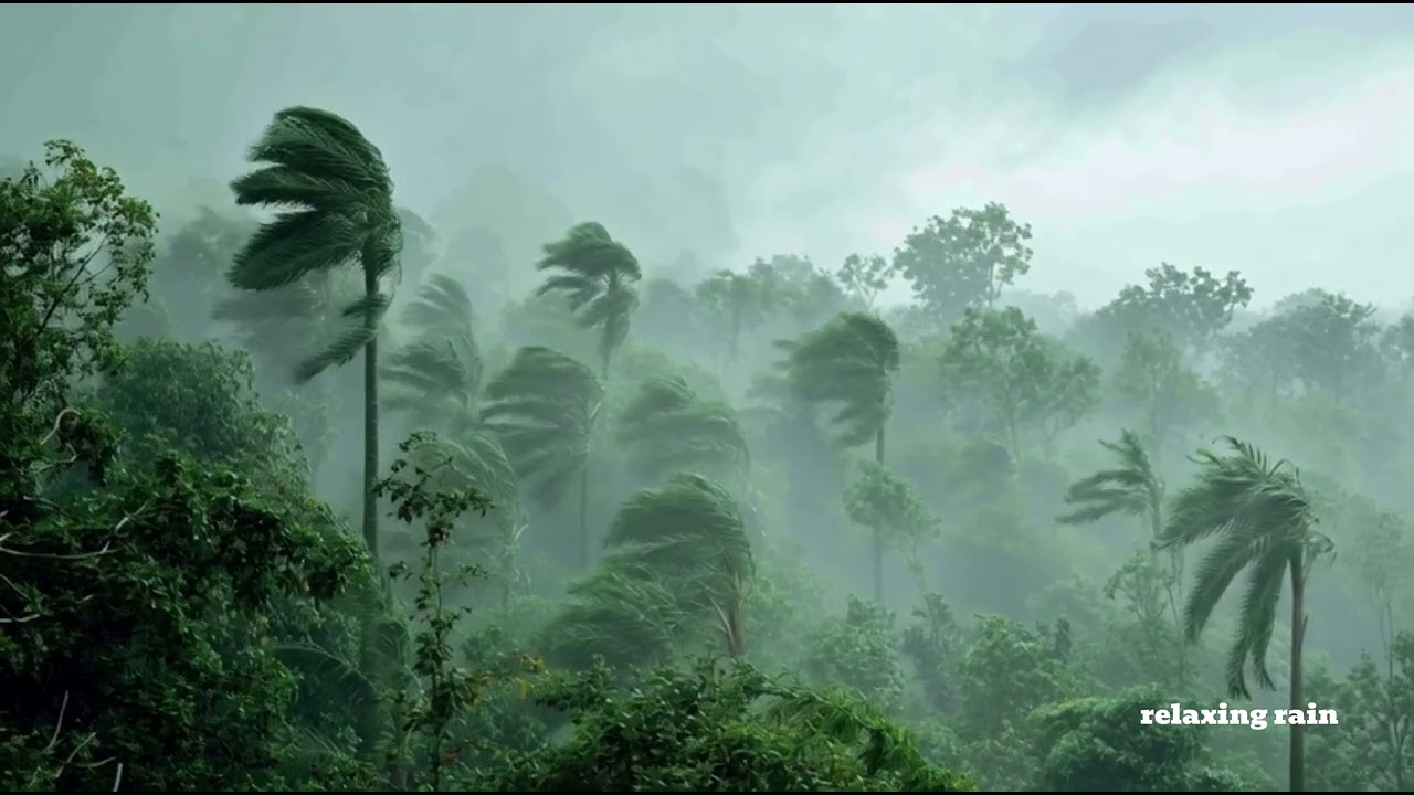 Madagascar Rainforest Storm in 8K Ultra HD | Deep Jungle Rain Ambience