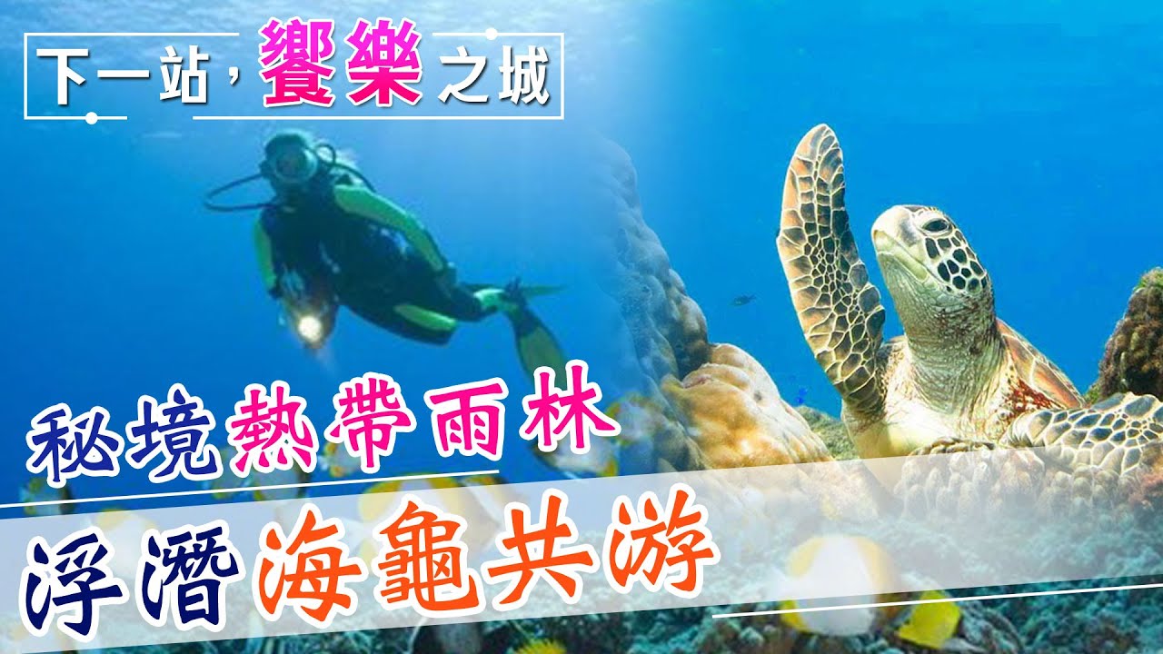 【下一站，饗樂之城】驚喜與海龜共游!絕美沙灘的秘境熱帶雨林 浮潛隨處看到名字有