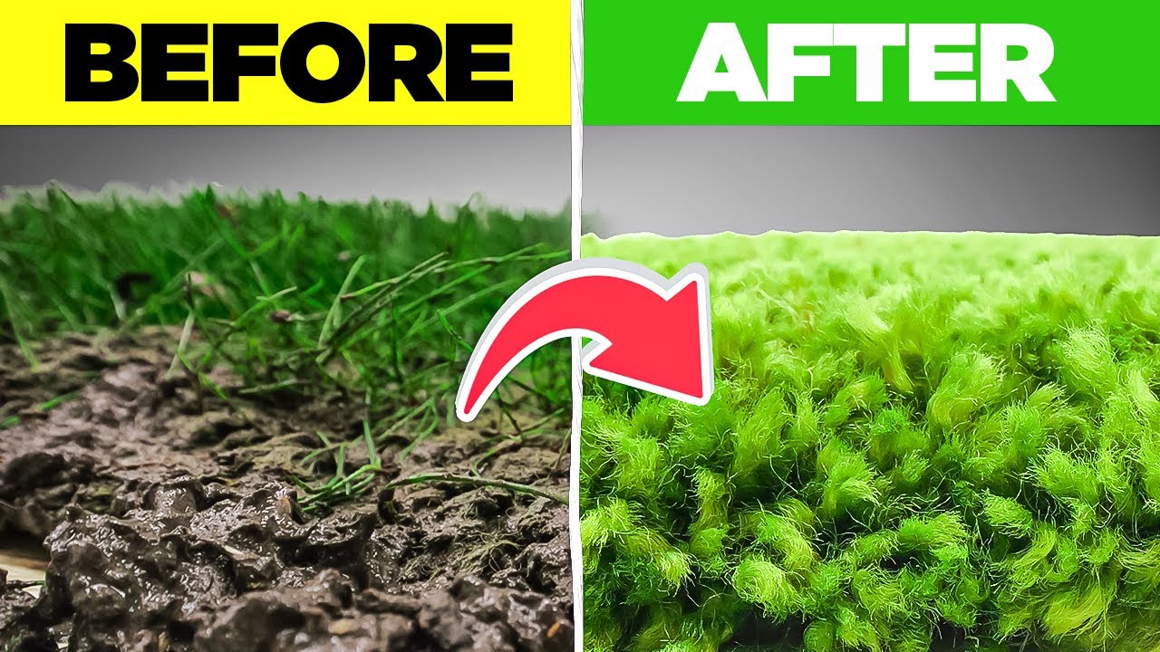 The Grass Is Always Greener On The Other Side! Satisfying ASMR Timelapse.