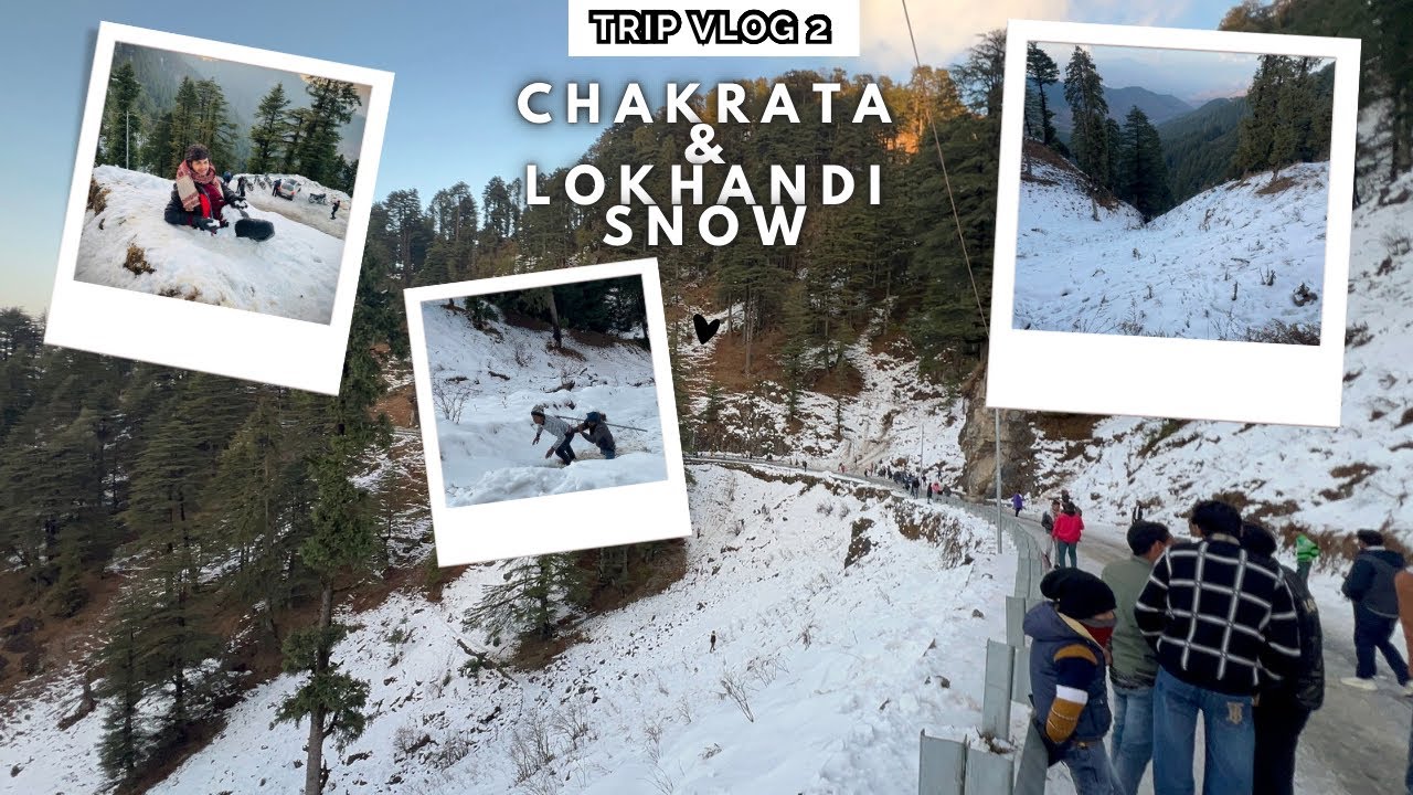 Chakrata Lokhandi Snow Point Update ❄️🥶 || Snow Update In चकराता || #chakrata #lokhandi #trip