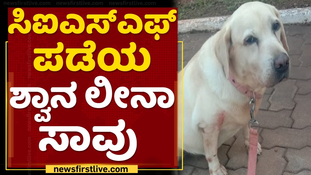 Mangaluru International Airport  : ಸಿಐಎಸ್ಎಫ್ ಪಡೆಯ ಶ್ವಾನ ಸಾವು | Airport Security Service | NewsFirst