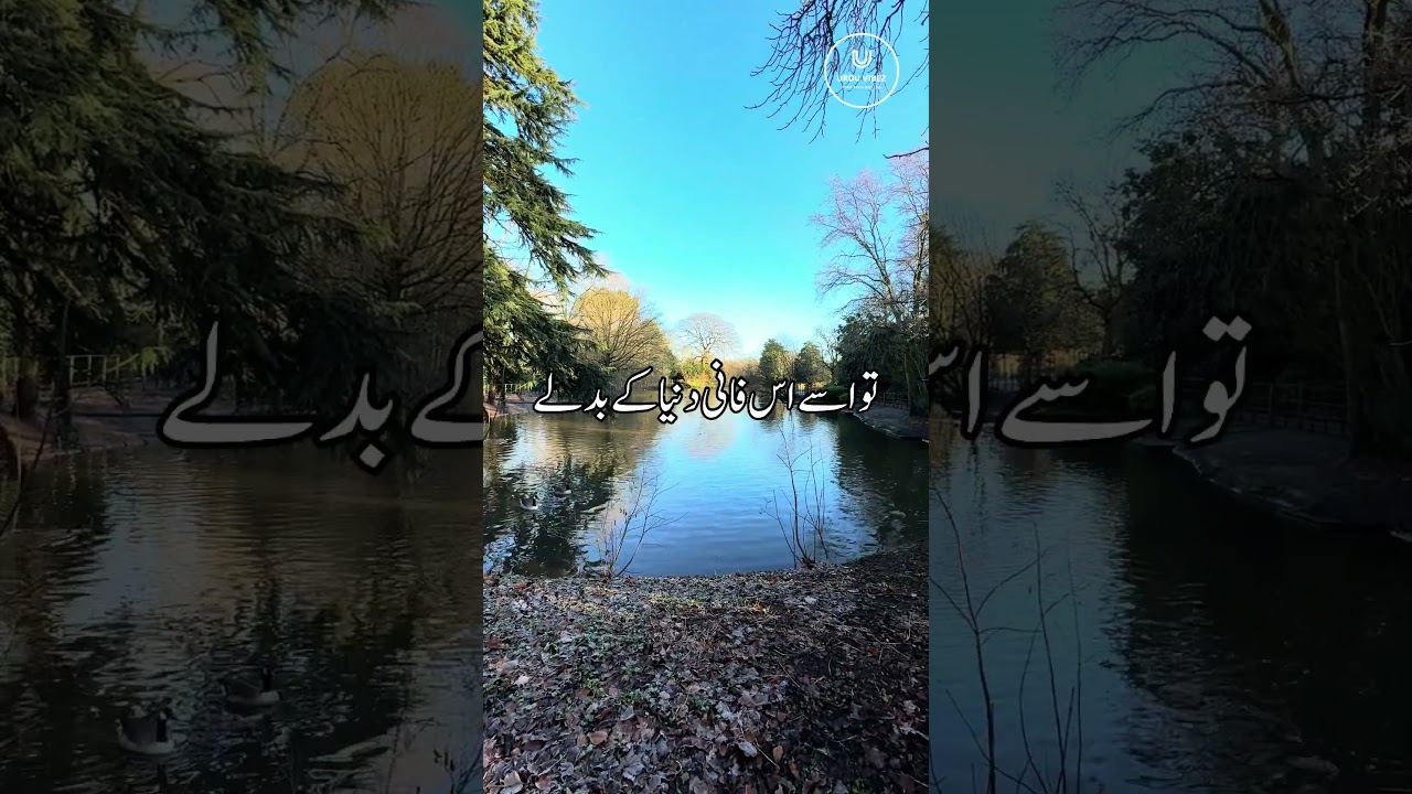 Kush Naseebi Tu Yeh Hai #urdu #urdustatus #urdulines #deeplines #urduwisdom #urduquotes