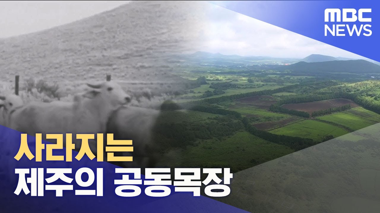 사라지는 공동목장‥ 
