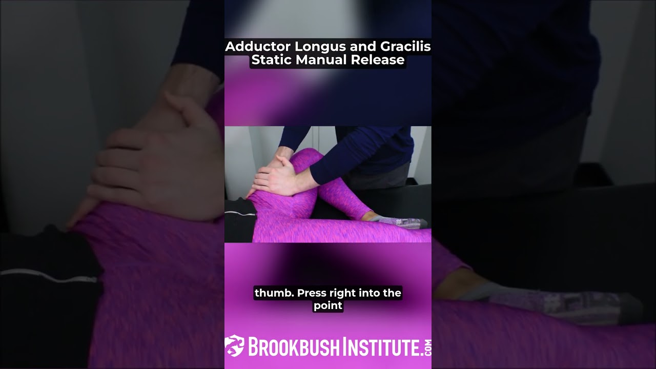 Adductor Longus and Gracilis Static Manual Release