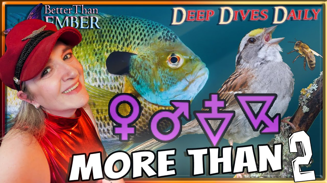 The Birds & the Bees (& Fishes!) ||  Deep Dives Daily