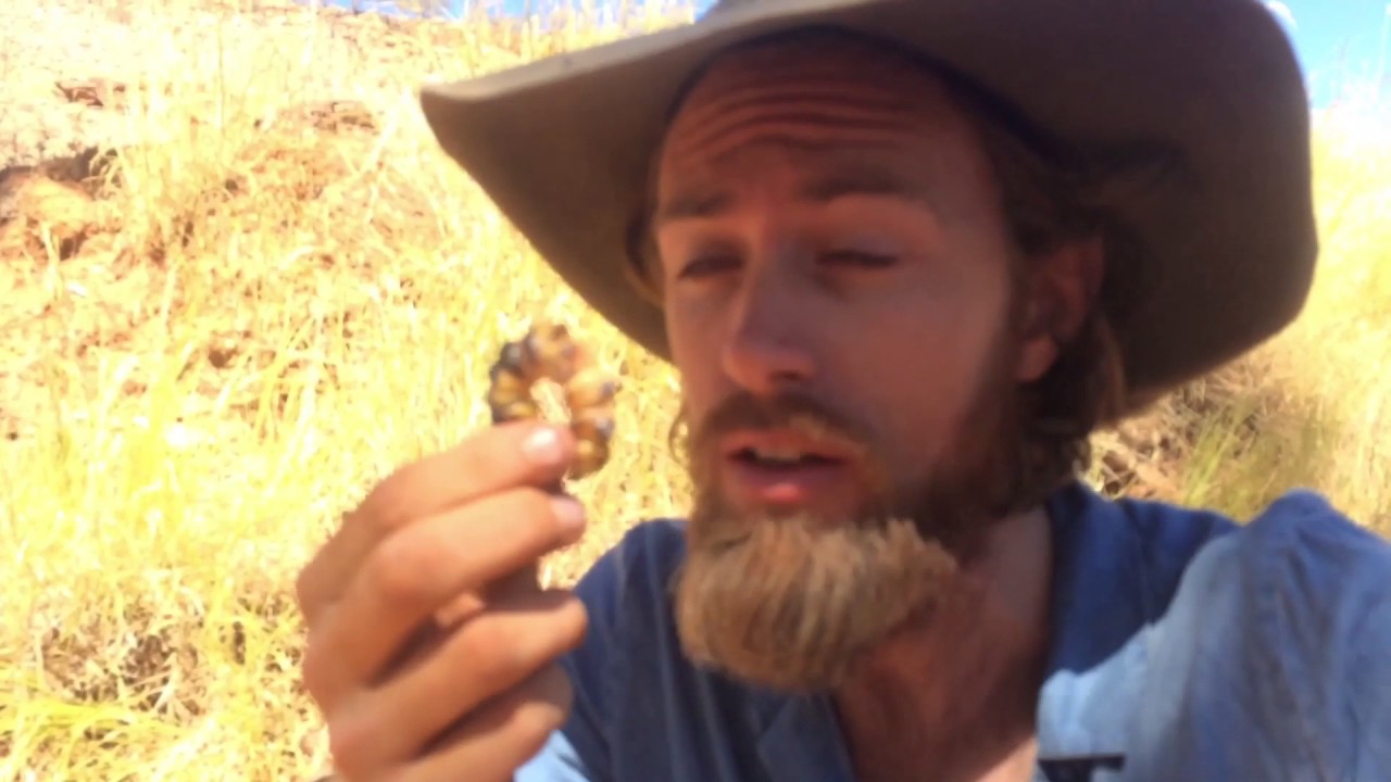 Going Bush, On the Track, Central Australia
