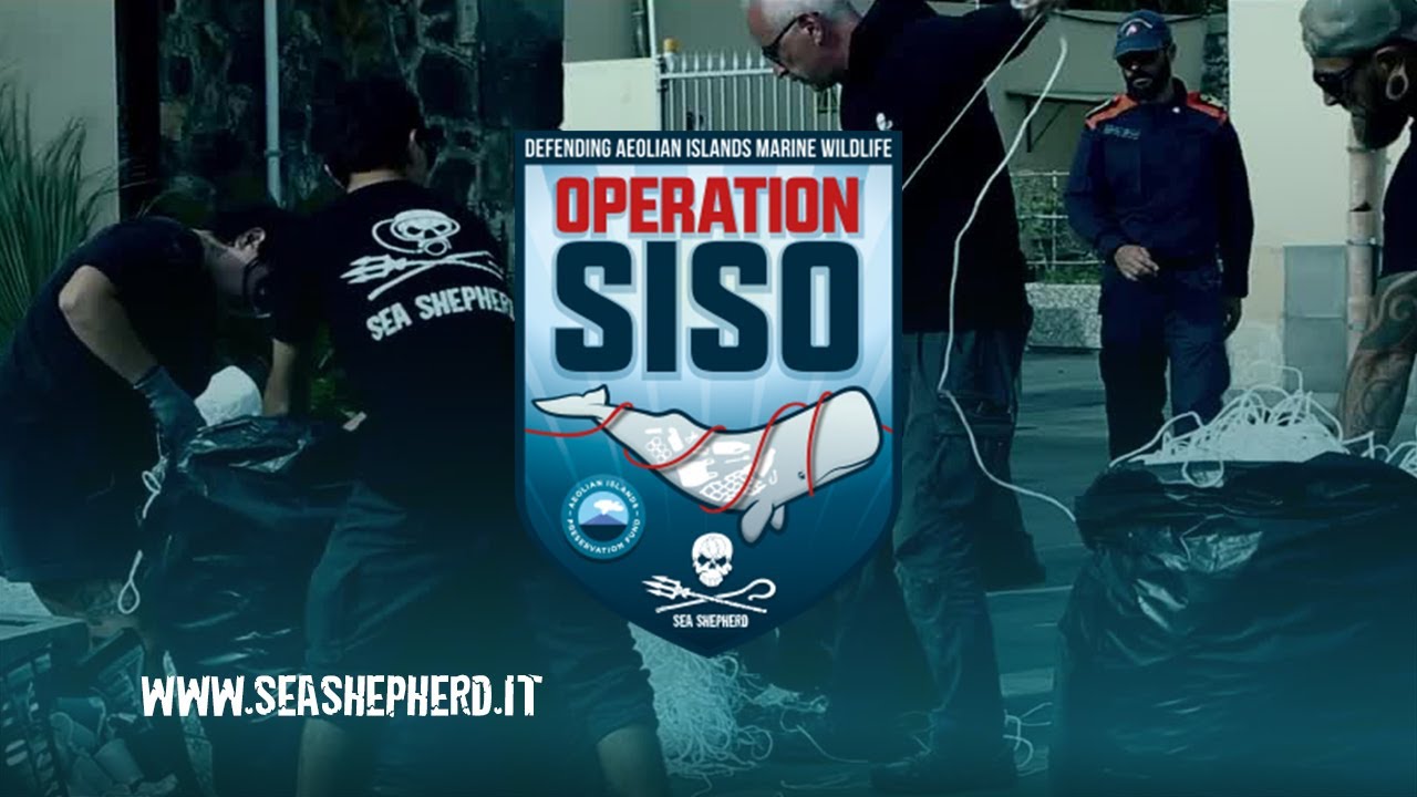 Operation SISO: The Best FAD Killer