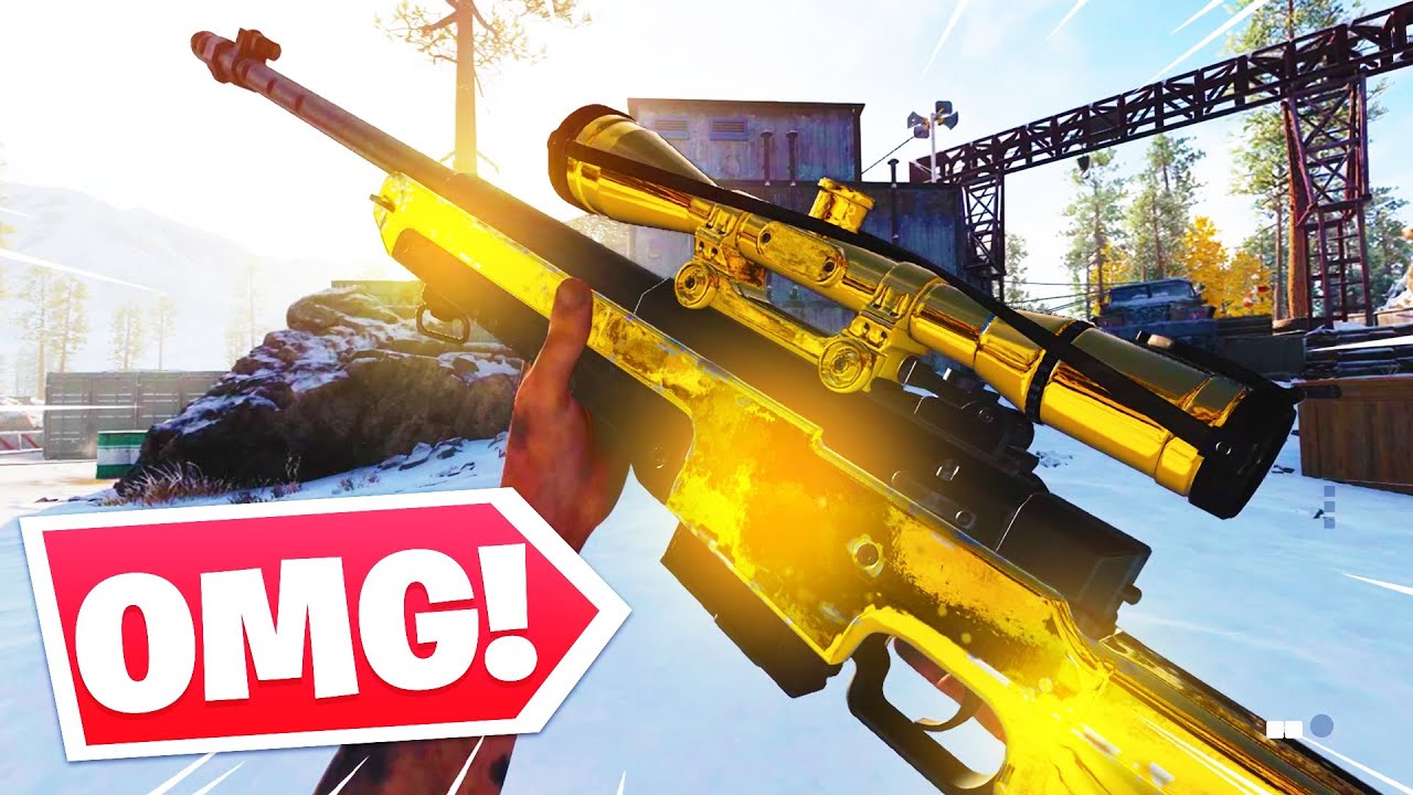 the GOLD LW3 TUNDRA is the sniper I've ALWAYS wanted.. (Best LW3 Tundra Class Setup)