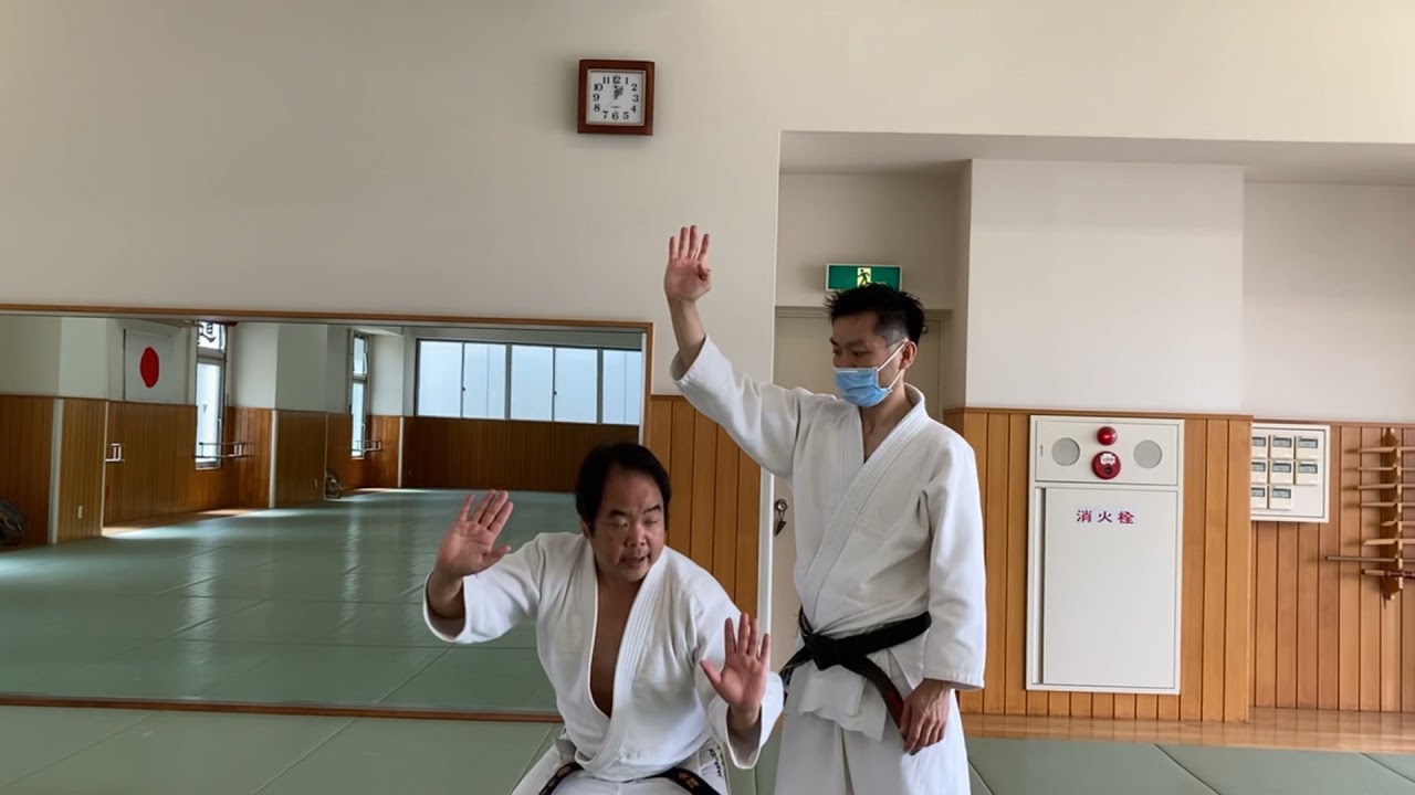 | The Concept of Aikido | #9 Ikkajyo - Ushiro Waza Technique