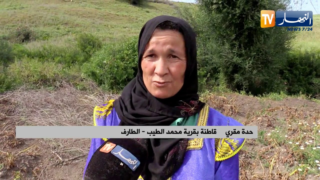 الطارف: 4 شقيقات لم يفارقن مكانهن منذ 40 سنة
