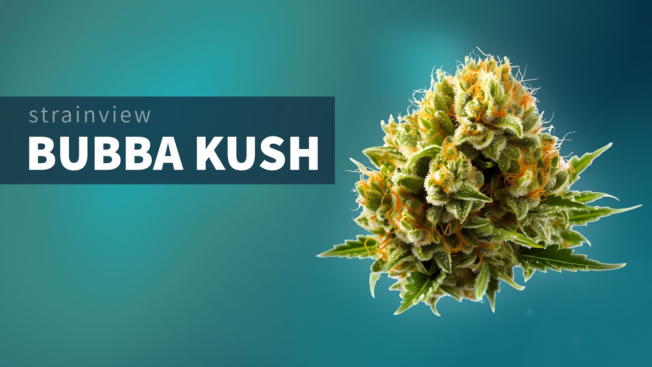 Bubba Kush - StrainView