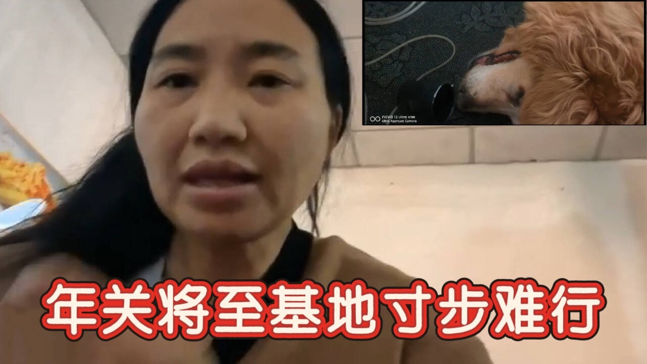 2026-2-12 Aunt He from Tianjin and her stray dog 年关将至基地寸步难行，我该怎么坚持下去。