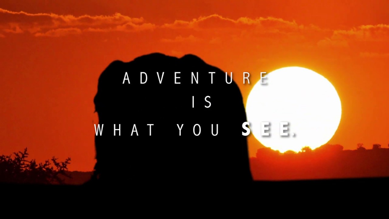 Introducing Bellevue Forest Reserve | Destination