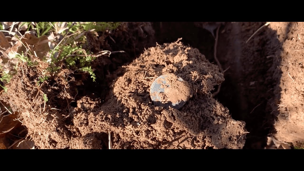 Antichi reperti e monete, grande ricerca! #metaldetecting #metaldetector