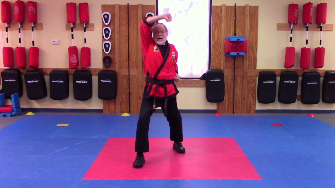 Video Tutorial:  Tae-Kwon Hyung -- Naming Techniques.