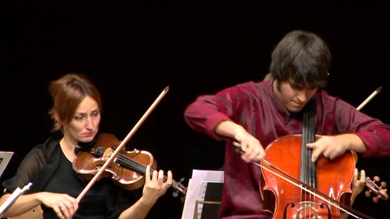 Vid Veljak - Carl Stamitz: Konzert f&uuml;r Violoncello und Orchester in G Dur - 1. Satz