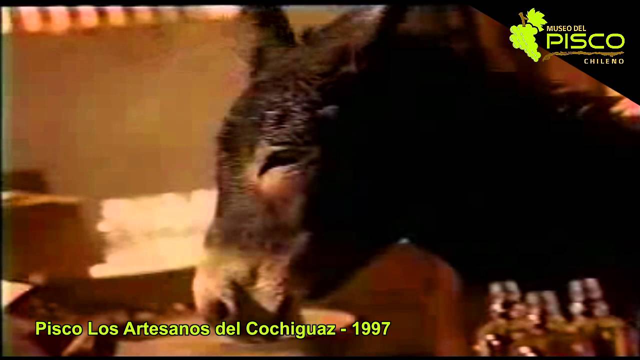Pisco Los Artesanos del Cochiguaz - Burro - 1997