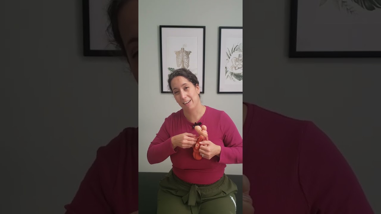 Male external pelvic floor massage
