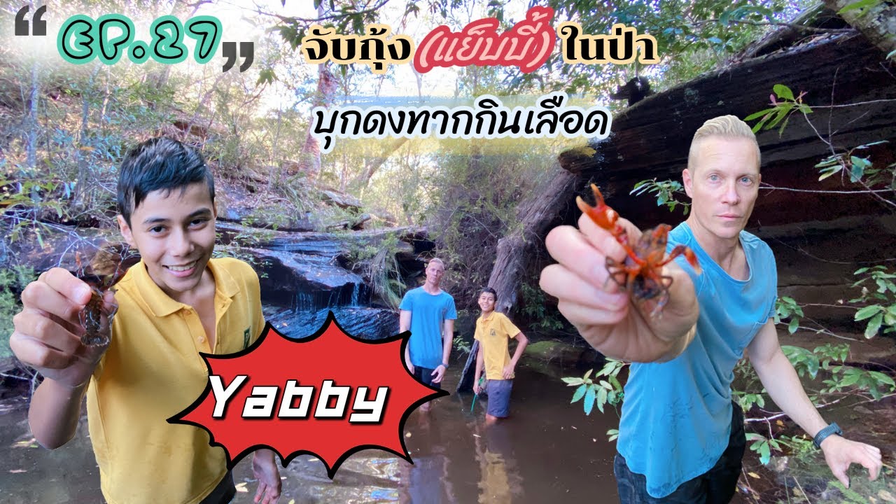 Ep.27 AusThai Life | ไปจับกุ้งในป่า catching Yabbies