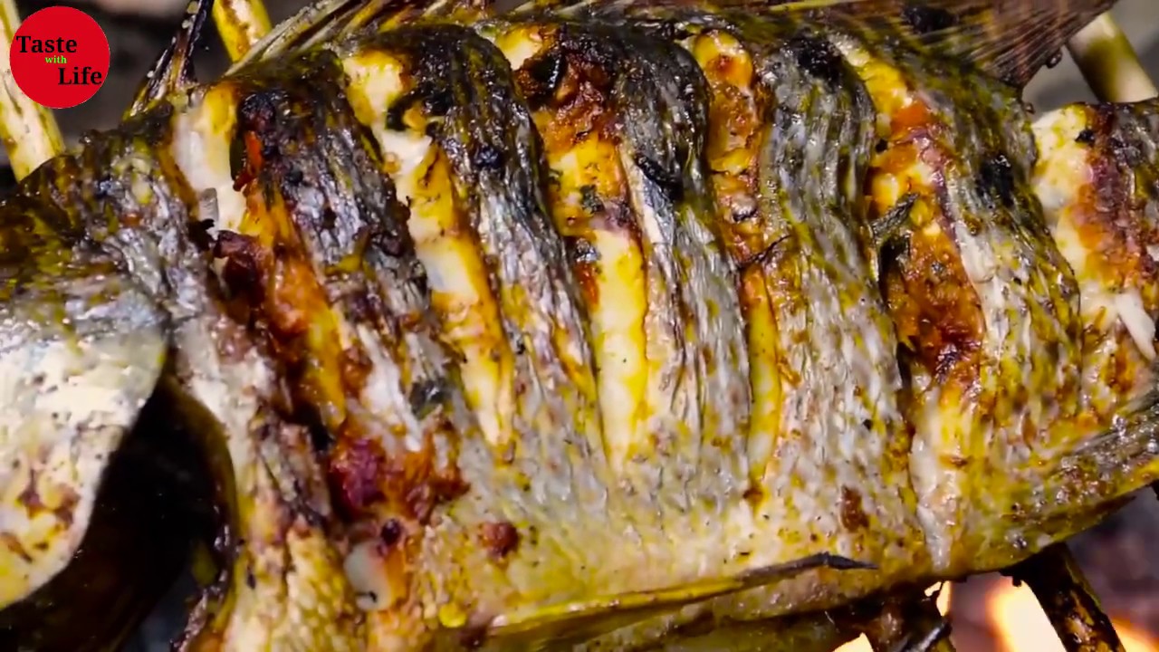 How to Grilled Fish in jungle | Taste with Life