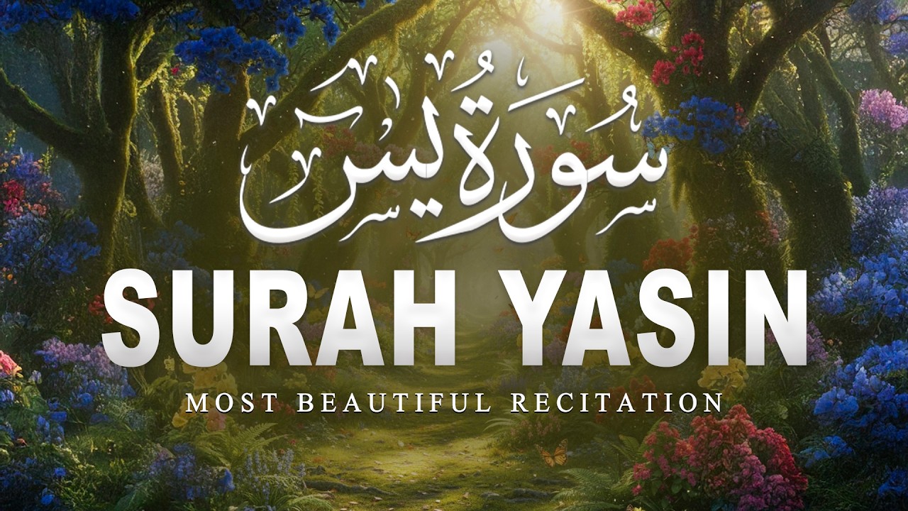 Surah Yaseen سورة يس | Calming Lofi Quran Recitation for Night Peace & Relaxation #quranforsleep
