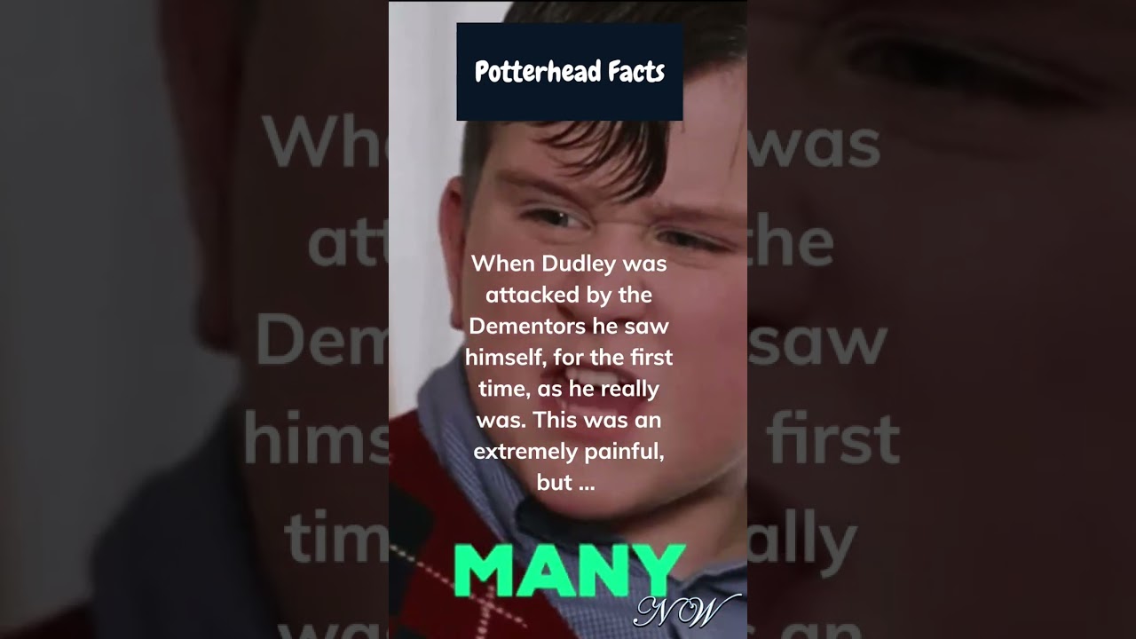 Harry Potter: Which memory changed Dudley Dursley? 