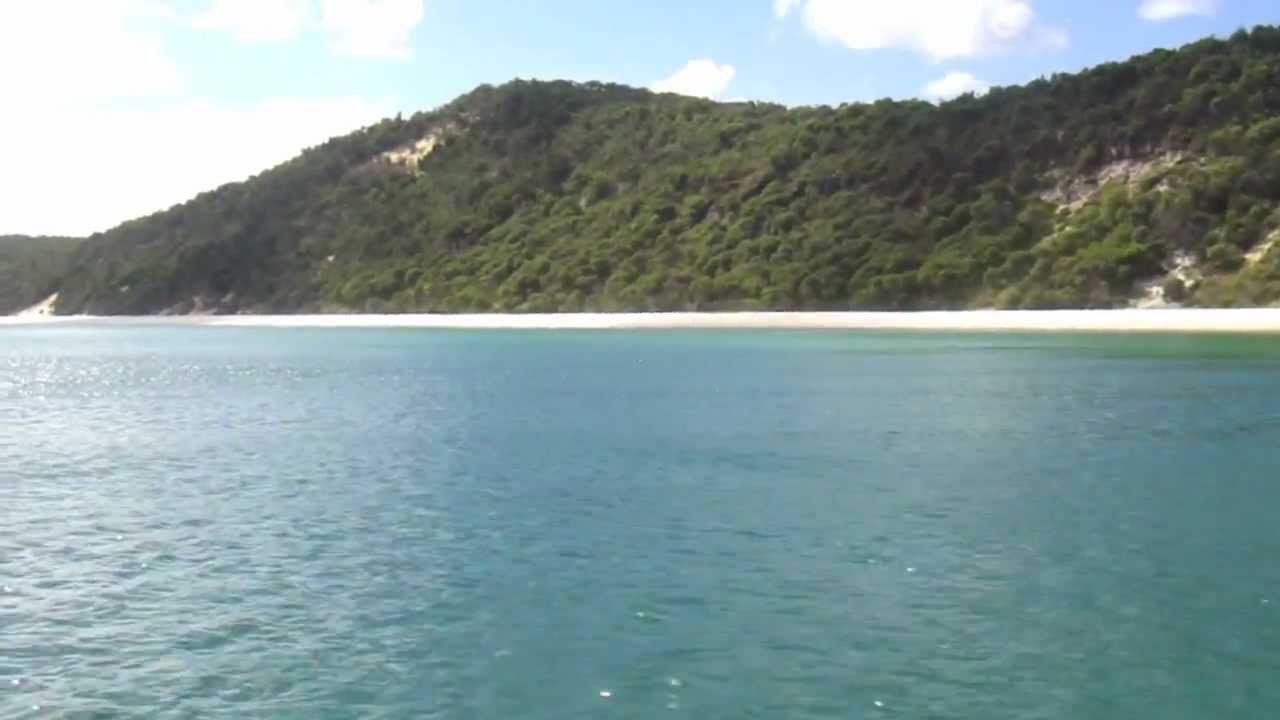 Fishing Video Montage
