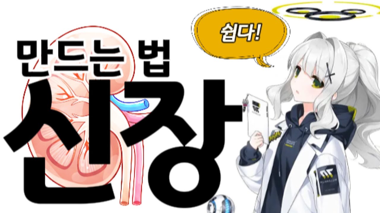 [가설] 신장 만드는 법 - 완성이에요, 선생님!