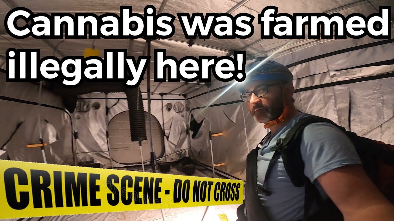 The ABANDONED CANNABIS FARM in a MINE -South England U.K. -