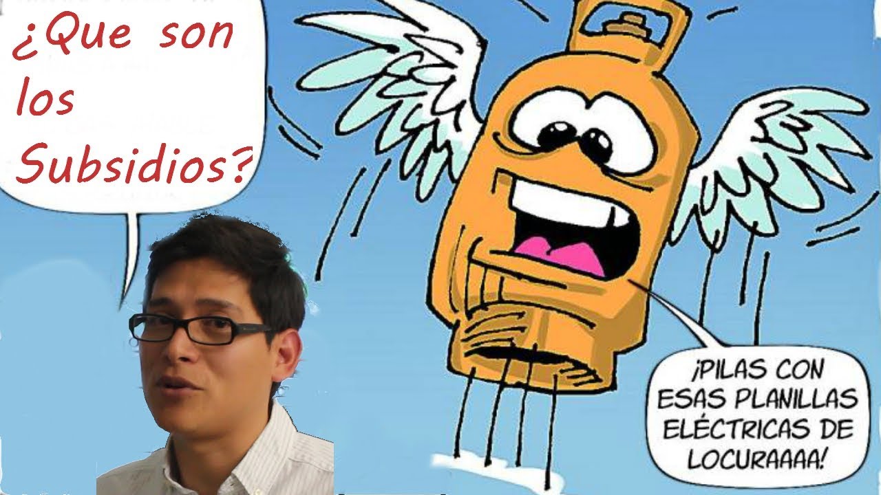 SUBSIDIOS - ¿BUENOS O MALOS? -Los Subsidios en el Ecuador