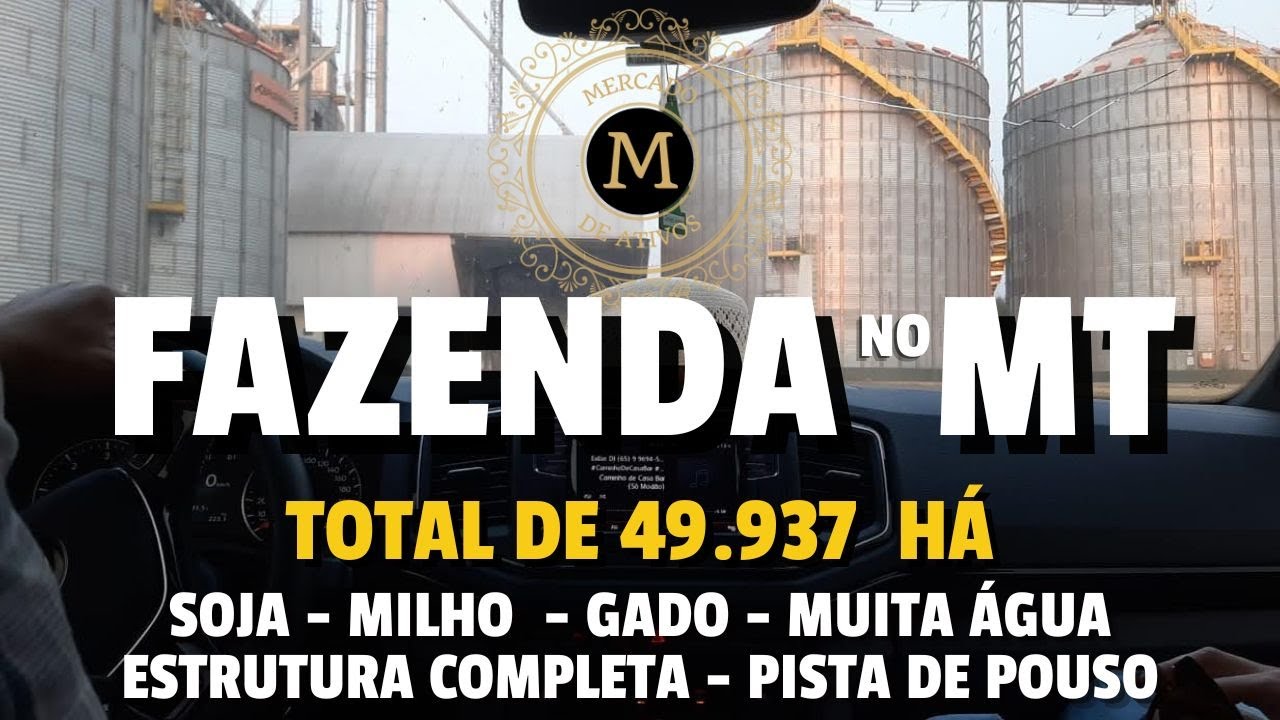 MEGA FAZENDA NO MT 49.937 HA DUPLA APTIDÃO ESTRUTURA PISTA DE POUSO E LOGÍSTICA TOP -MercadodeAtivos