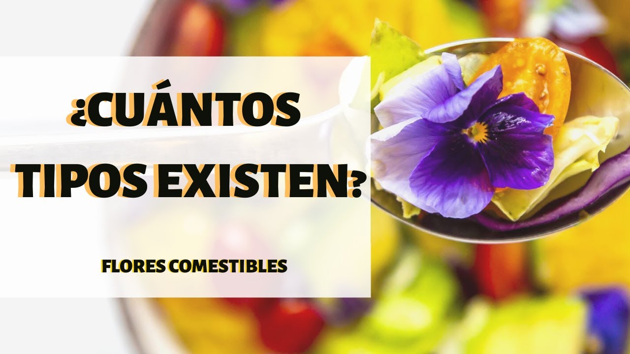 FLORES COMESTIBLES PARA COCINA💐🌹🌼🌸🌻FLORES PARA DECORAR- CHEF MODE MEDIA-GASTRONOMÍA
