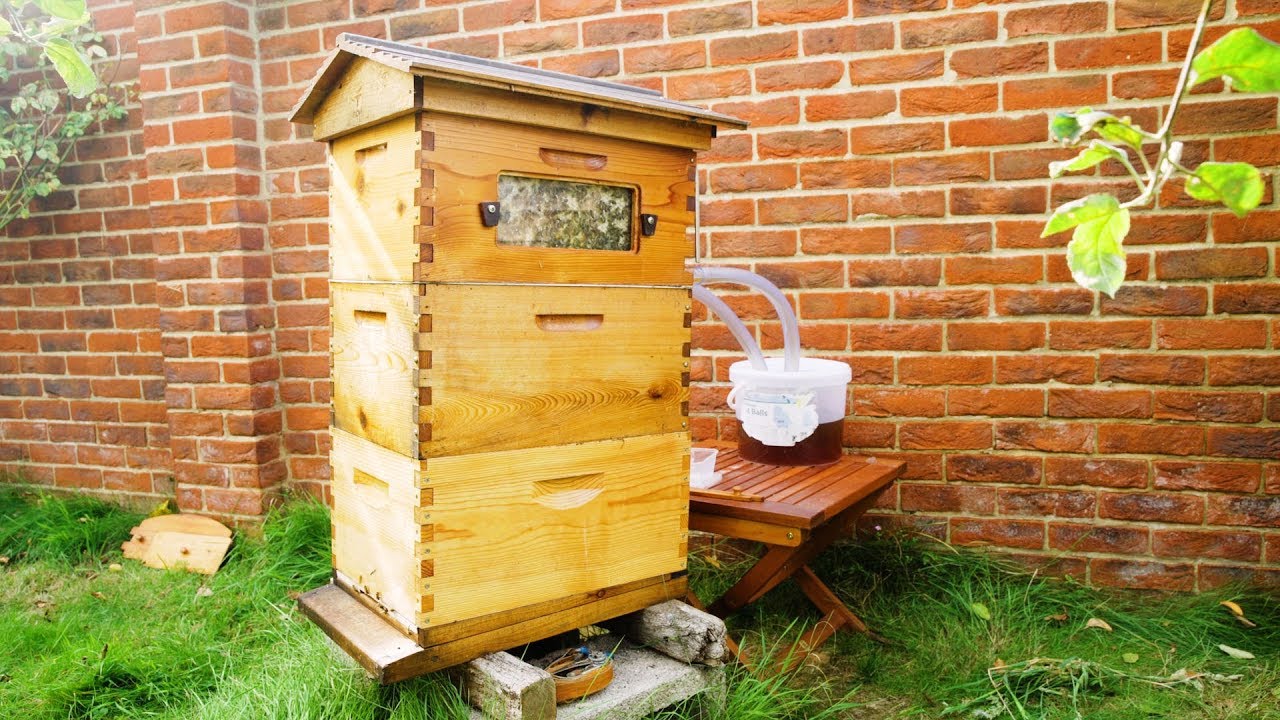 Flow hive Honey harvesting & Beekeeping with Adrian and his 89 year old Mum - UK