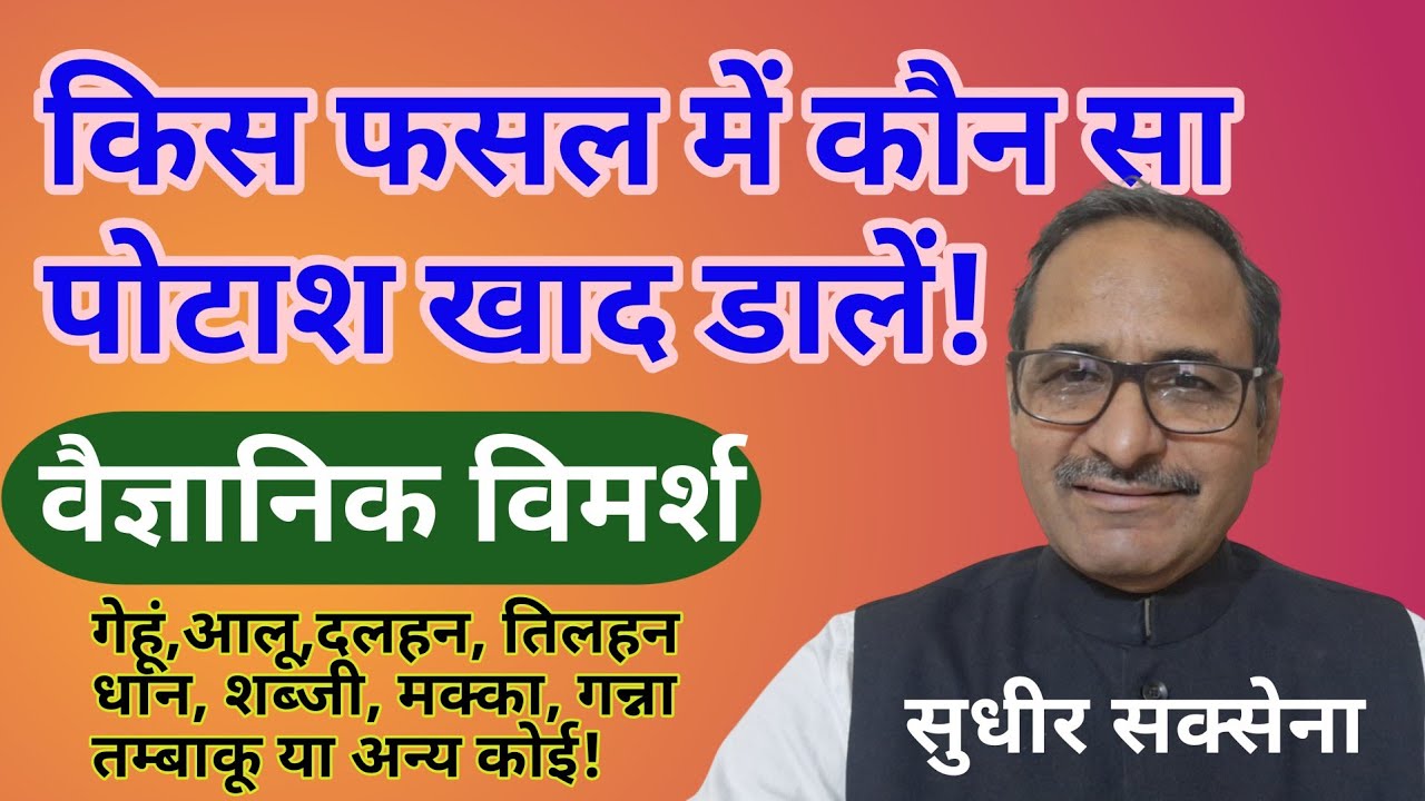 पोटास का बेस्ट फर्टिलाइजर कौन सा। पोटाश खाद  देने का तरीका।फसलों में पोटाश का महत्व।पोटेशियम क्या है