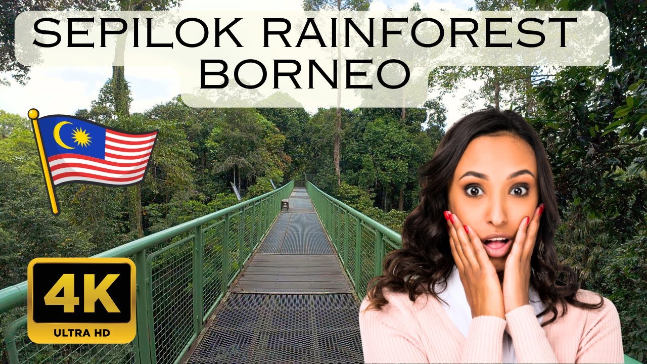4K Walking Tour Malaysia: Sepilok's Rainforest Discovery Centre | Canopy Walk & Garden