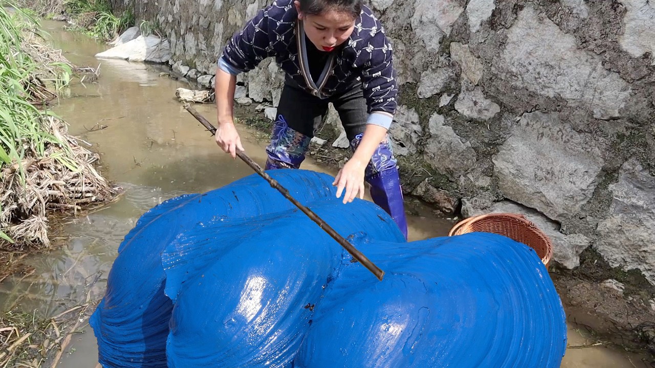 River Secrets of the Depths Unveiled: Girl Discovers Giant Mussel Packed with Beautiful Pearls