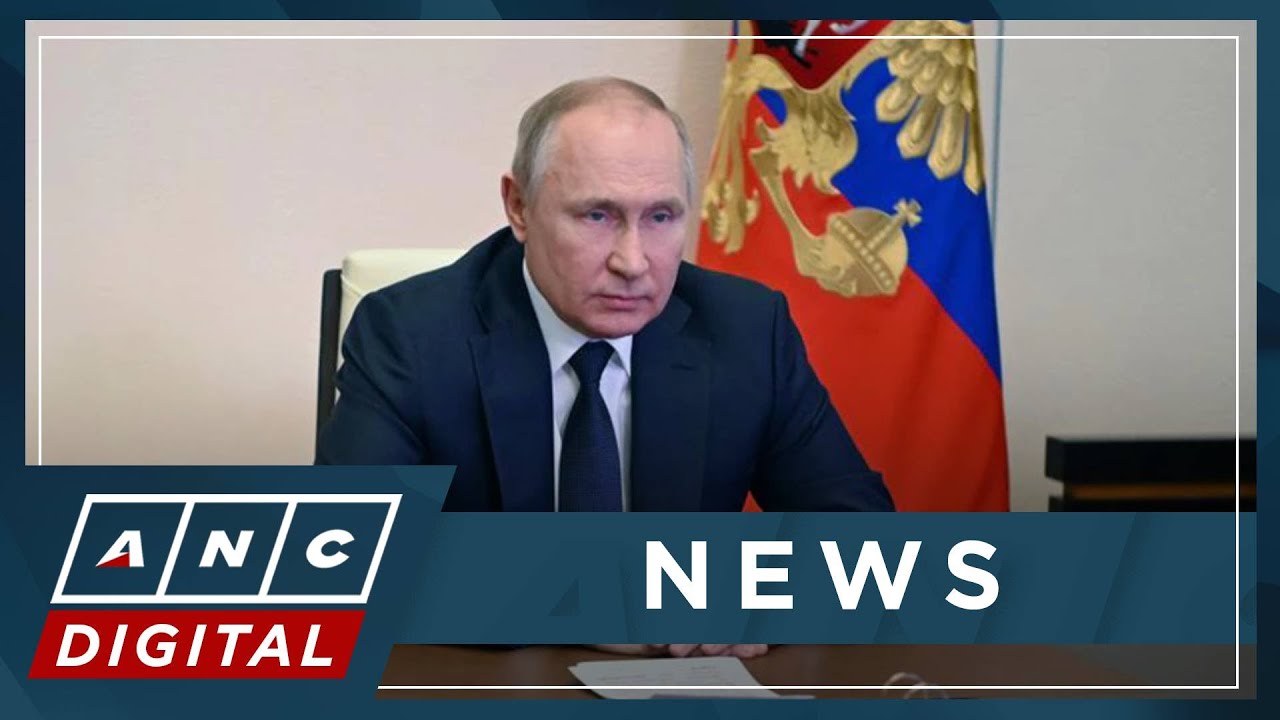 Putin holds meeting with Turkey's Erdogan | ANC