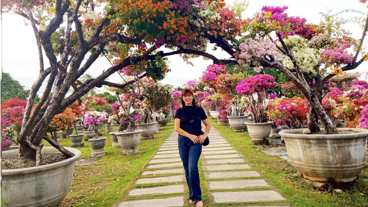 CASA BATIK GAPAN CITY/BOUGAINVILLEA FARM