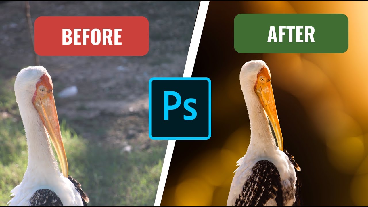 Wildlife Photography | Sunset Color Grading, Golden hour  light |How to blur background in Photoshop