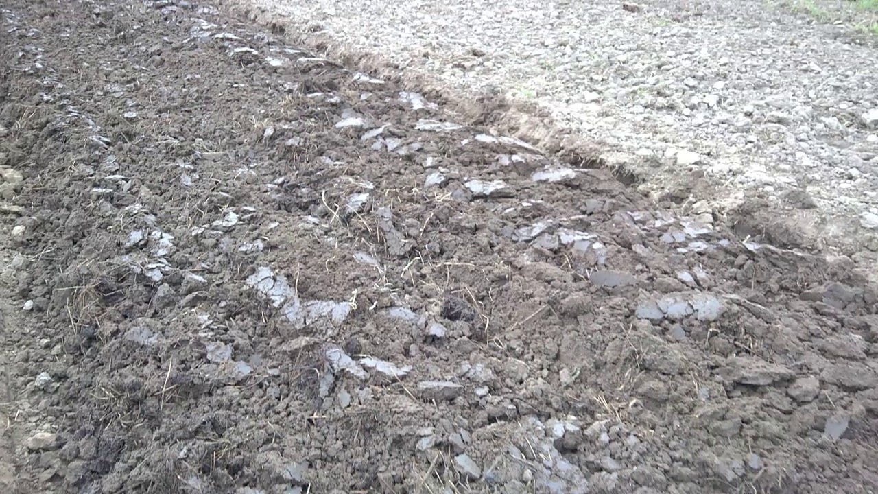 Arimas su T25 traktoriuku