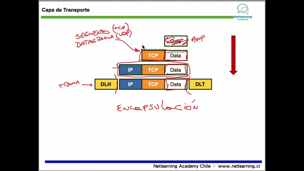 6. Capa de transporte (TCP y UDP)